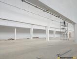 Warehouses to let in Depozit Aurel Vlaicu 125