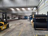 Warehouses to let in Industrial Property Pascani
