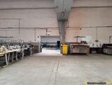 Warehouses to let in Industrial Property Pascani