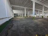 Warehouses to let in 3 G Logistics Constanta