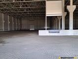 Warehouses to let in Mures Industrial Park