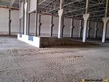 Warehouses to let in Mures Industrial Park
