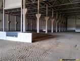 Warehouses to let in Mures Industrial Park