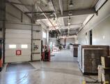 Warehouses to let in Depozit Logistic Pallady, Bucuresti