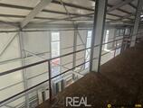 Warehouses to let in Hala de inchiriat de la 1000 mp