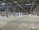 Warehouses to let in CTPark Bucharest South