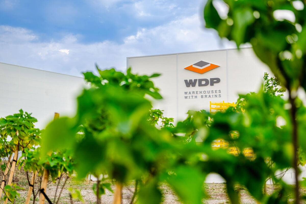 WDP Announces Financial Results for the First Quarter of 2025