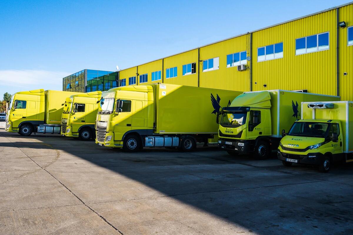 AQUILA's EUR 5 Million Automation Drive: A Blueprint for Future-Ready Warehousing in Romania