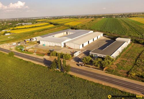 Warehouses to let in Tecuci  Warehouse