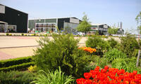 Dibo Industrial Park