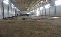 Cold warehouse Tragu Mures