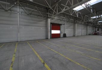 Warehouse for rent Ploiesti Industrial Park