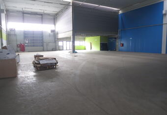 Warehouse Framan Timisoara