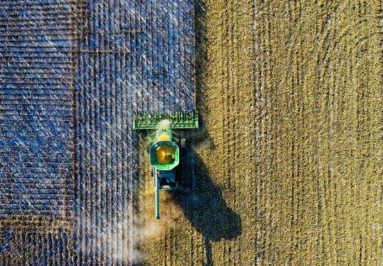 Grup Șerban Holding accelerates nationwide investments in agricultural storage and processing