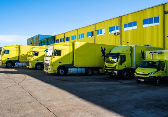 AQUILA's EUR 5 Million Automation Drive: A Blueprint for Future-Ready Warehousing in Romania