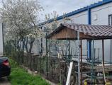 Warehouses to let in LOGISTIC AND CONSULTING CENTER