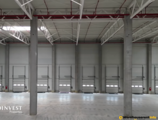 Warehouses to let in Proinvest Properties