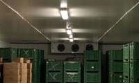 Storage and conservation WAREHOUSE